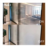 Ħġieġ tal-Bieb Smart Switchable